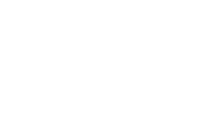 Alexandria Film Festival Official Selection